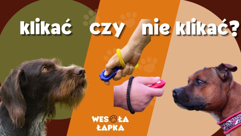 KLikac czy nie klikac