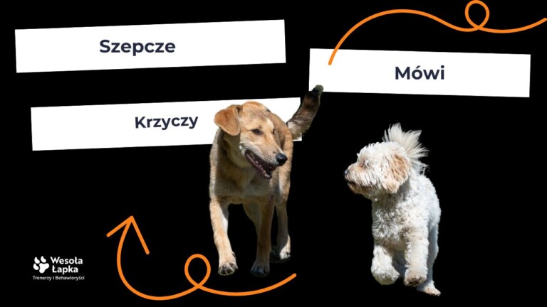 Szepcze mowi krzyczy