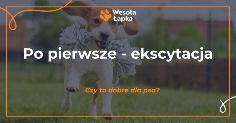 po pierwsze ekscytacja