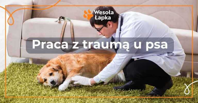 Praca z trauma