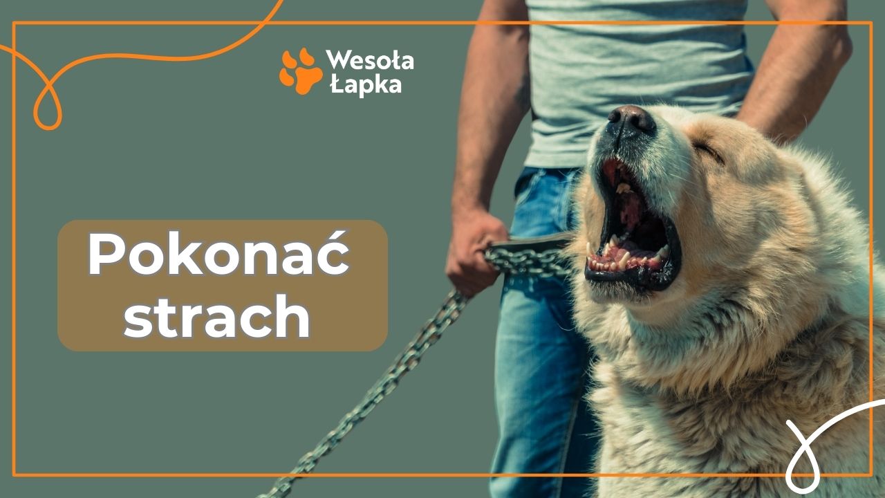 Pokonac strach