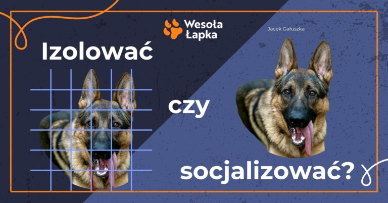 Izolowac czy socjalizowac