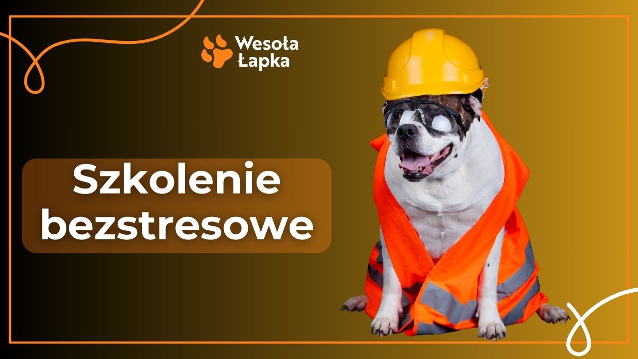 Wychowanie bezstresowe