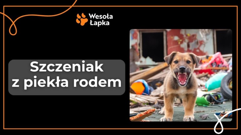 szczeniak z piekla 1