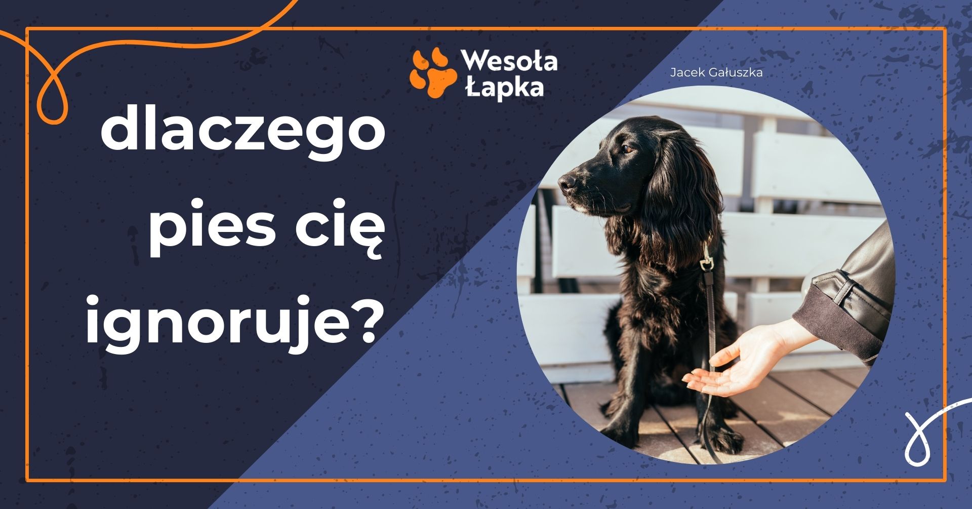 dlaczego pies cie ignoruje