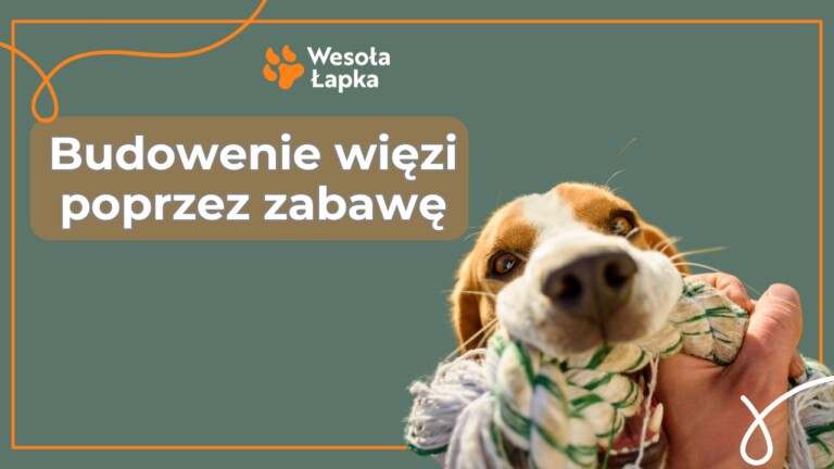 budowanie relacji przez zabawe