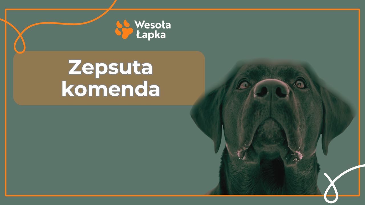 Zepsuta komenda