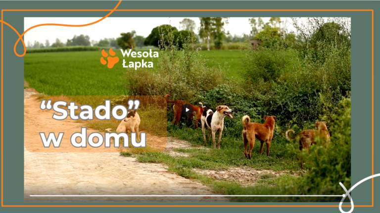 Zrzut ekranu 2024 07 17 o 21.10.01