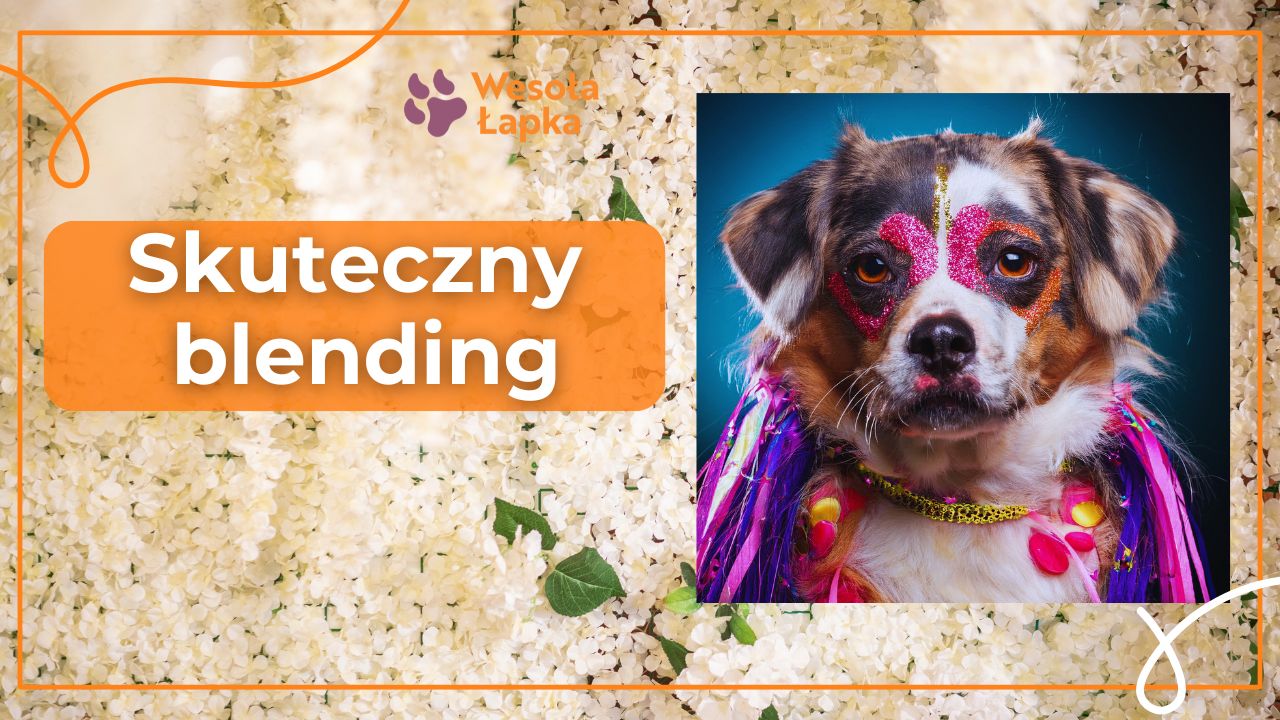 skuteczny blending
