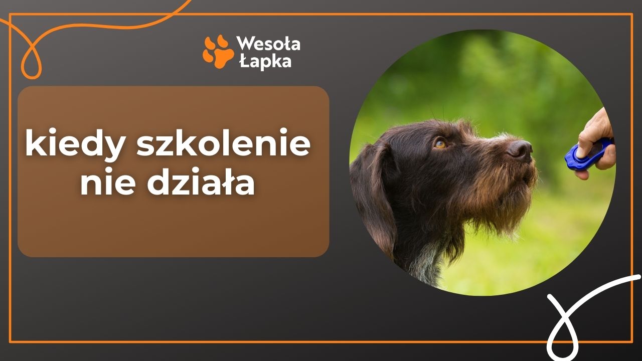 Kiedy szkolenie nie dziala