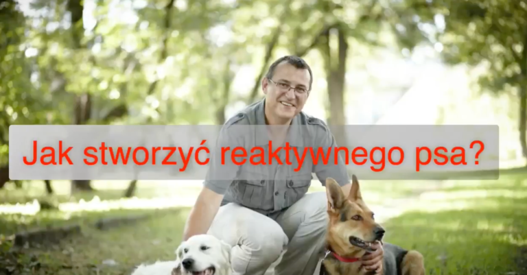 Zrzut ekranu 2024 10 9 o 22.28.40