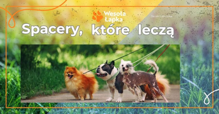 spacery ktore lecza