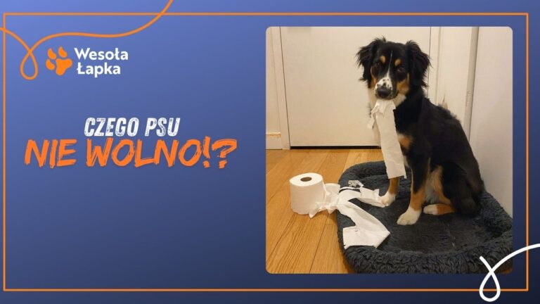 Dobra i zla socjalizacja 2