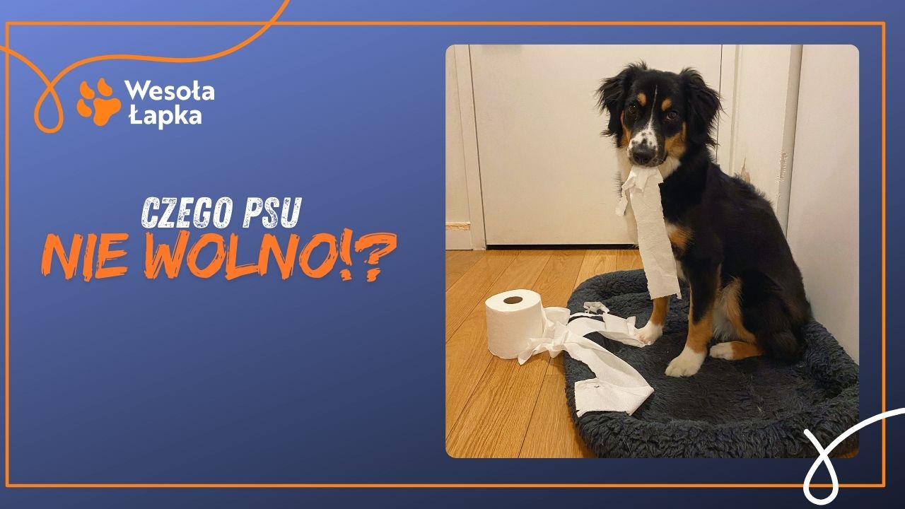 Dobra i zla socjalizacja 2