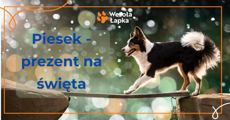 piesek prezent na swieta