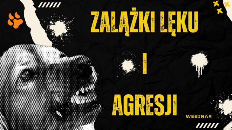 Zalazki leku i agresji