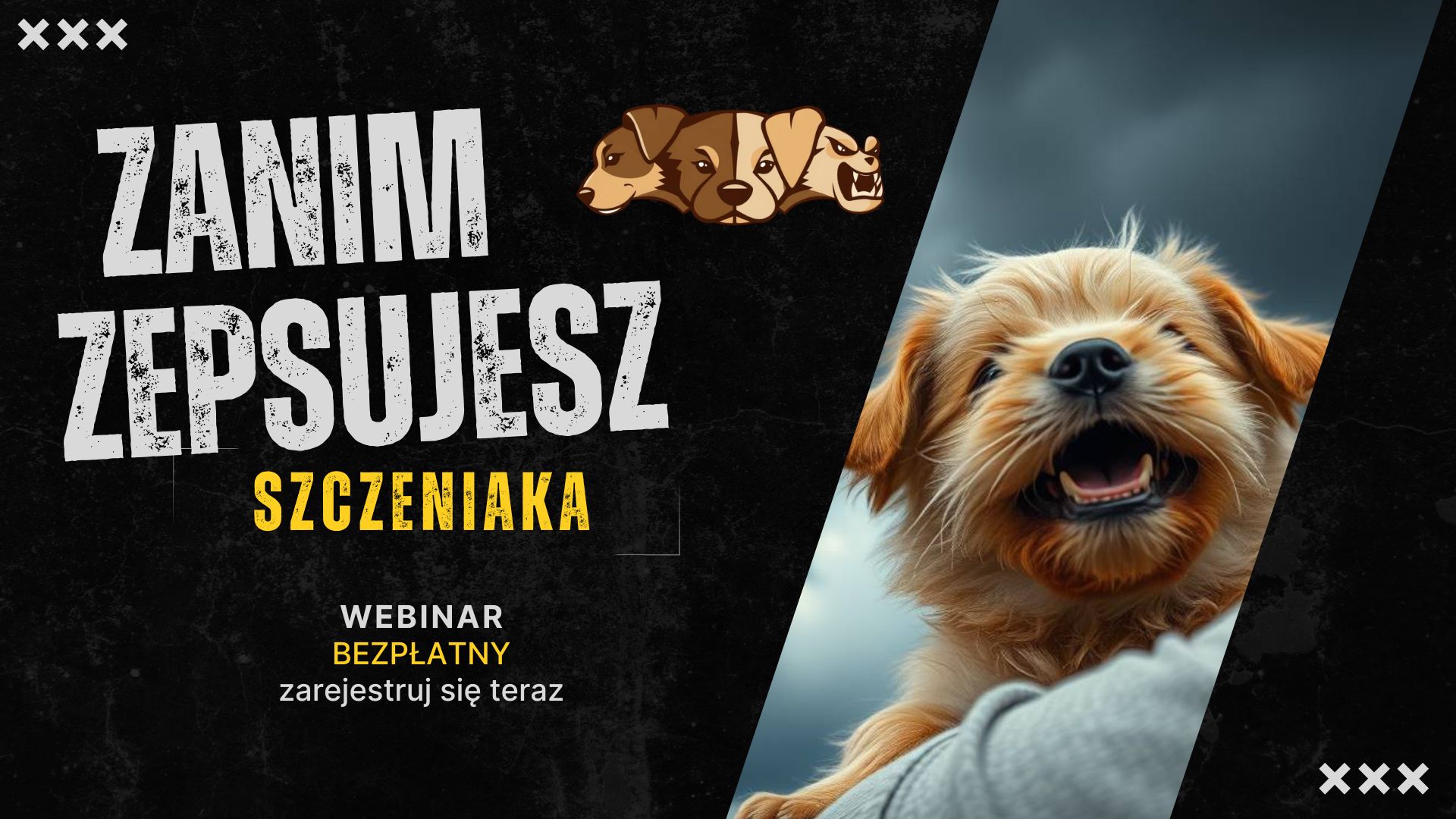 Zanimz epsujesz szczeniaka