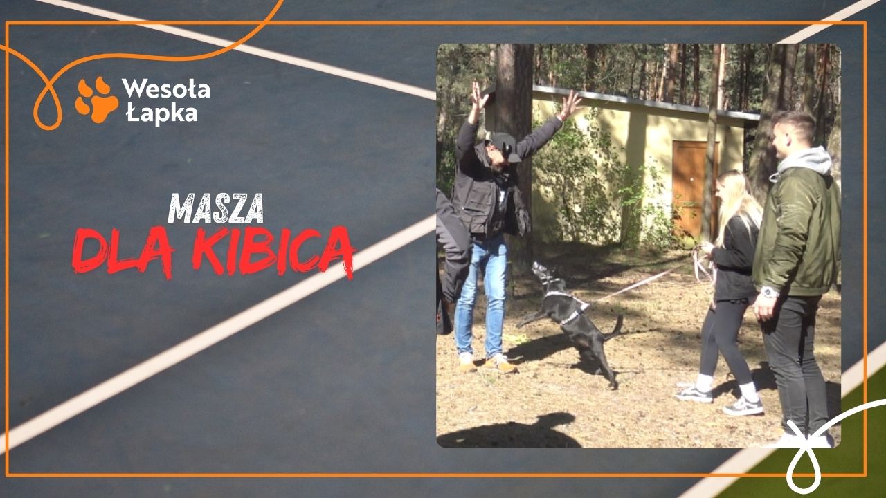 Masza dla kibica
